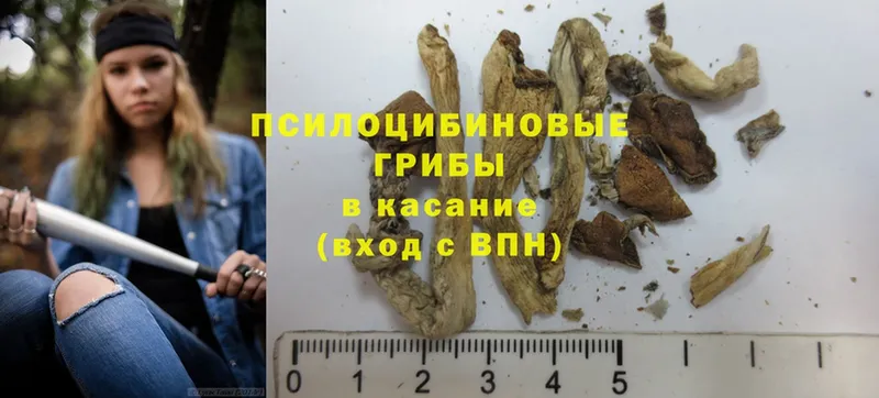 Галлюциногенные грибы Psilocybine cubensis  хочу   Уяр 